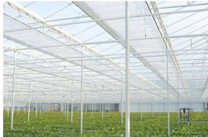 Ammerlaan - Model ZON - Greenhouses