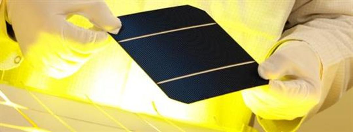 Horticoop - Solar Panels