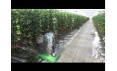 Micothon Amazone Greenhouse Spaying Robot 2013 Video