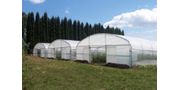 Straight Wall Tunnel Greenhouse
