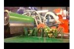 TulipStar 2012 - (Bundling and sorting tulips) Video
