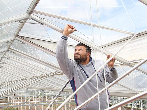 Holland Gaas - Professional Installation Services for Netting Systems in Greenhouses