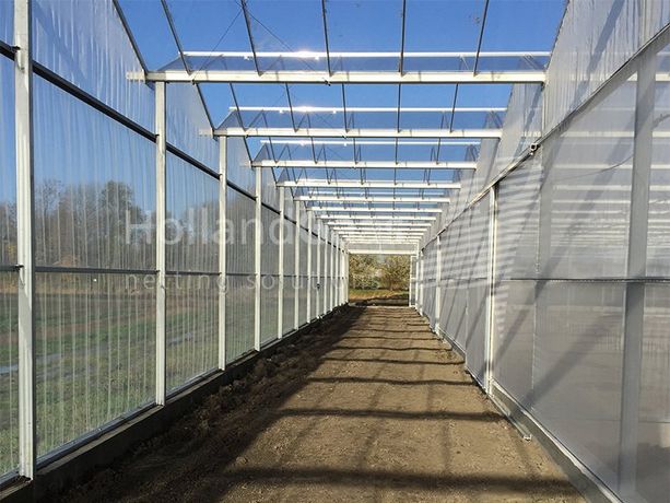 Holland Gaas - Netting Walls