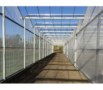 Holland Gaas - Netting Walls