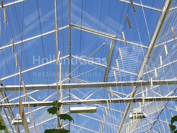 Holland Gaas - Tempered Glass Greenhouse