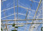 Holland Gaas - Tempered Glass Greenhouse