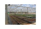 HBS - Commercial Glasshouse