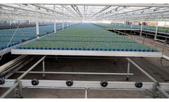 Horticultural Mobile Bench System for Plant Handling