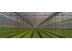 Richel - Multi-Span Greenhouses