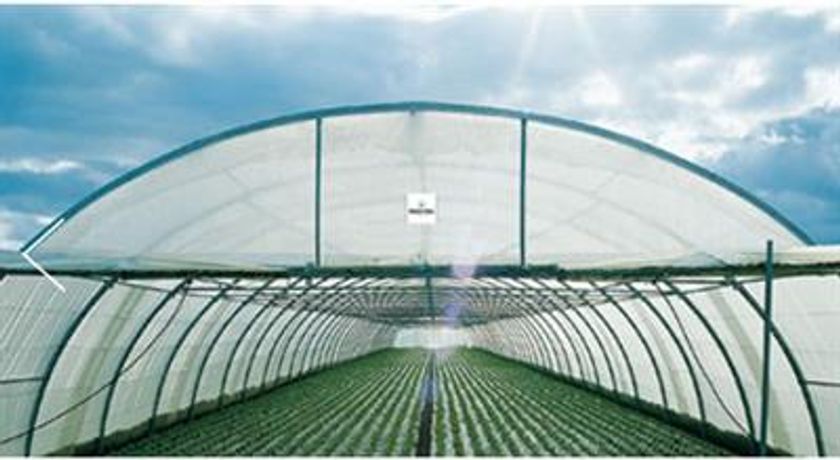 Richel - Multi-Tunnel Greenhouses
