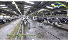 Dairymaster Manure Scraper System - Video