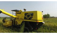 Panesar Combine (Paddy Track Type Harvester) PANESAR AGRICULTURE INDUSTRIES BARNALA PUNJAB - Video