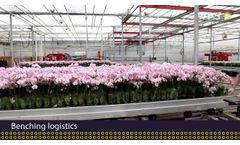 Orchids Automation: for Every Phase the Best Solution - Video