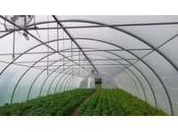 Agrimec - Model TN - Tunnel Greenhouses
