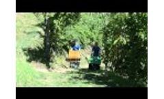 VS Mini Transporter Motorized Wheelbarrows AZO Work Video
