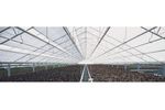 Wide Span Greenhouses