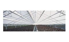 Plastic Greenhouses