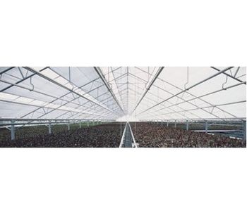 Plastic Greenhouses