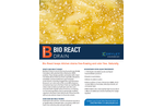 Bio React - Drain Dry-to-Touch Powder Brochure