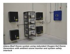 Adena Beef Packing Plant Ozone Odor Control System - Case Study III