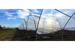 MultiEasy - Multi-Span Greenhouses