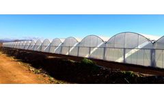 Multimed - Mid-Range Multi Span Greenhouses