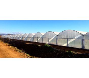 Multimed - Mid-Range Multi Span Greenhouses