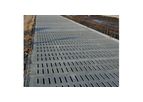 Cattle Grids