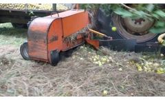 Tuthill Temperley Centipede apple harvester made in 2004 and still working after 20 years  - Video