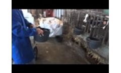 Milk Pasteurizer for Calves