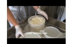 Minidairy Academy: Cheese Making, Hard Cheese Production Video