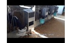 Calf Feeding With Duecinox Equipment Video