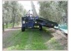 Dotan - Almonds and Olives Harvester