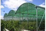 ININSA - Model P-8 - Curved Roof Multi-span Shading Structure