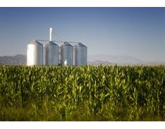 Ethanol “Demand” Is Higher Than Ever