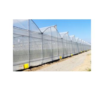 Ulma - Model G - Gothic Multispan Greenhouses