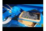 Air Blueberry Harvester Kokan 500s - Video