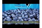 KOKAN500S - Blueberry (Eliot) harvesting presentation - Borstel, Germany (August, 2019) - Video