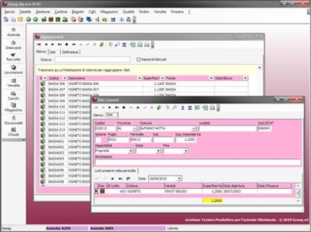 Gesag - Version Gtp.eno - Software for the Wine Industry