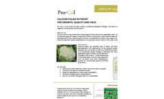 Pro-Cal - Calcium Supplements - Brochure