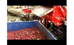 Cherry Harvester GACEK for Collecting Tree Fruits - Video