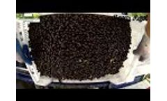 Currant Harvester - JAREK - Video