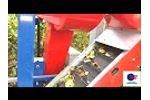Aronia Chokeberry Harvester - ARONIC - Video
