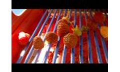 Raspberries Harvester Machine - JAREK 5 - Video