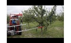Trunk Shaker - PESTKA - Video