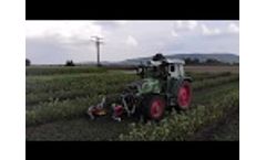Weed control machine for organic farming