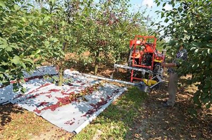 Hydraulic Fruit Tree Trunk Shaker Harvester-2