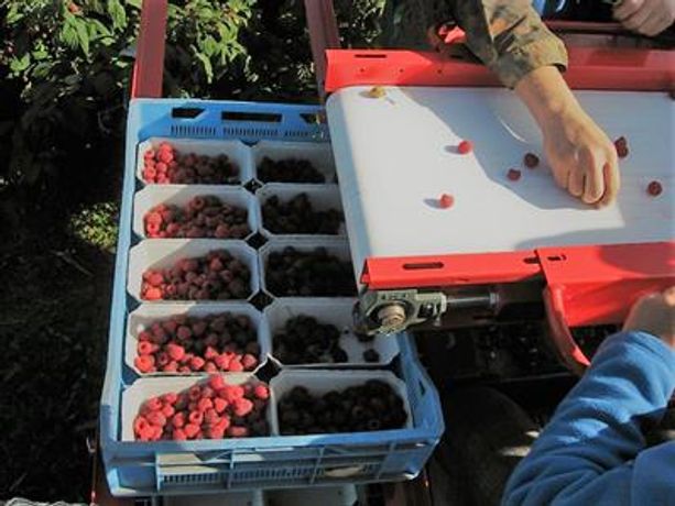 Raspberry Harvester-4