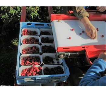 Raspberry Harvester-4
