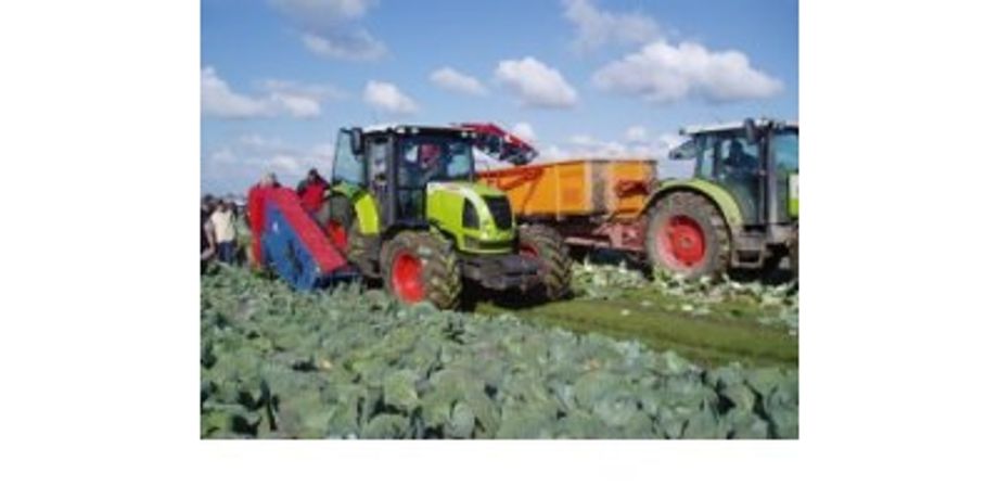 Asa-Lift  - Model MK-1000 - Cabbage Harvester